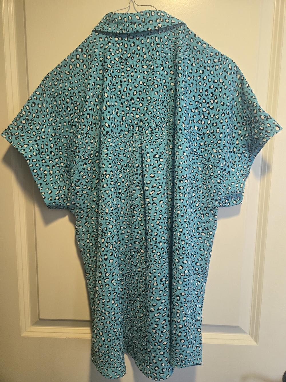 Turquoise Leopard Print Dolman Sleeve Top - Women